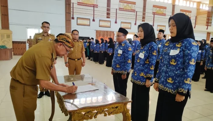 Pegawai Negeri Sipil di Indonesia: Prospek, Tantangan, dan Peluang