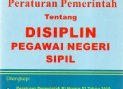 Pegawai Negeri Sipil: Tuntutan Disiplin dan Prospek Karir