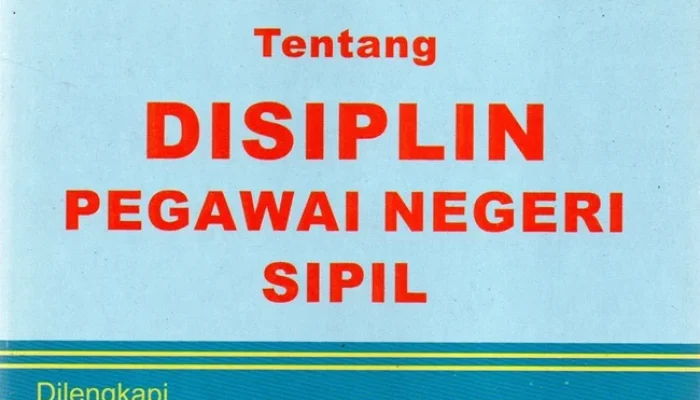 Pegawai Negeri Sipil: Tuntutan Disiplin dan Prospek Karir