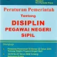 Pegawai Negeri Sipil: Tuntutan Disiplin dan Prospek Karir
