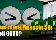 Pemerintah Lewat Danantara Beli Saham GoTo, Rincian Kepemilikan dan Dampaknya pada Industri Transportasi