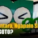 Pemerintah Lewat Danantara Beli Saham GoTo, Rincian Kepemilikan dan Dampaknya pada Industri Transportasi