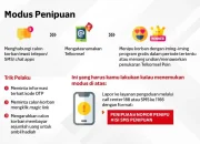 Penipuan Daring Marak, Ini Modus dan Cara Menghindarinya