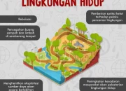 Pentingnya Kesehatan Usus Bayi dan Upaya Pelestarian Lingkungan