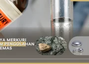 Penyelundupan Merkuri Berbahaya dan Dampaknya pada Kesehatan
