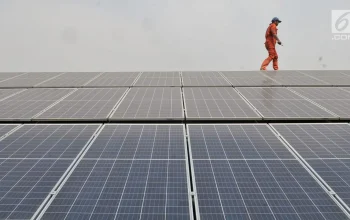 PLN Raup Nilai Tambah Lewat Integrasi PLTS dan Teknologi Karbon