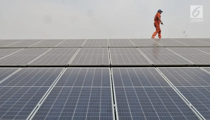 PLN Raup Nilai Tambah Lewat Integrasi PLTS dan Teknologi Karbon