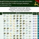 Prakiraan Cuaca Kalimantan Timur 22-23 Mei 2026: Waspada Hujan Petir dan Udara Kabur