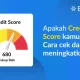 Rahasia Kredit: Bagaimana Authorized User dan Skor NBA Mengubah Cara Anda Melihat Credit Score