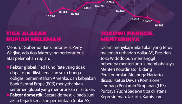 Rupiah Terus Melemah, Apa yang Harus Dilakukan?