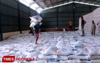 Stok Beras 5 Juta Ton Memicu Pemerintah Bangun 100 Gudang Baru: Upaya Jaga Stabilitas Harga