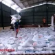 Stok Beras 5 Juta Ton Memicu Pemerintah Bangun 100 Gudang Baru: Upaya Jaga Stabilitas Harga