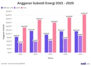 Subsidi dan Penyalahgunaannya: Kasus Penyelundupan Solar Subsidi dan Upaya Menghemat Subsidi LPG