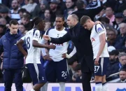 Tottenham Selamatkan Diri dari Degradasi di Liga Premier