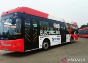 Transjakarta Meluncurkan Inovasi Baru: Bus Listrik dan Restoran Berjalan