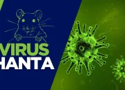Virus Hanta: Ancaman Baru yang Mengintai, Bagaimana Cara Pencegahannya?