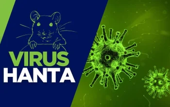 Virus Hanta: Ancaman Baru yang Mengintai, Bagaimana Cara Pencegahannya?