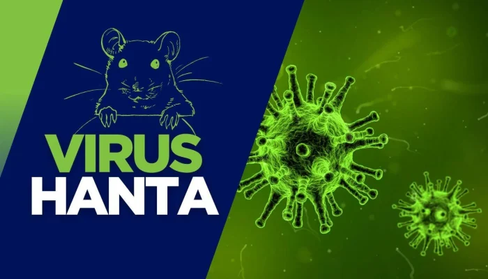 Virus Hanta: Ancaman Baru yang Mengintai, Bagaimana Cara Pencegahannya?