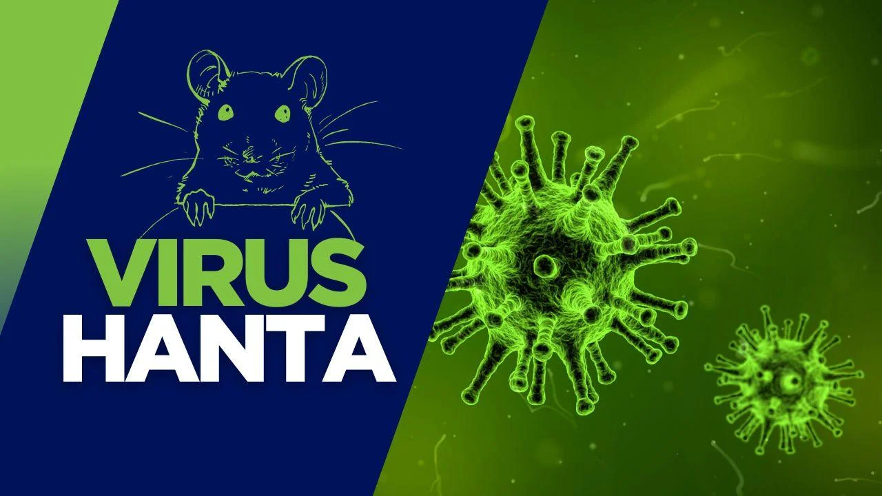 Virus Hanta: Ancaman Baru yang Mengintai, Bagaimana Cara Pencegahannya?