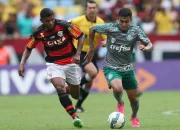Vitória do Palmeiras sobre o Flamengo: Análise e Reações