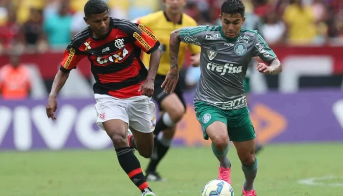 Vitória do Palmeiras sobre o Flamengo: Análise e Reações
