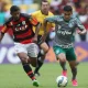 Vitória do Palmeiras sobre o Flamengo: Análise e Reações