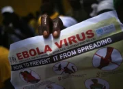 Wabah Ebola di Kongo dan Uganda: Apa yang Perlu Diketahui tentang Virus Bundibugyo?
