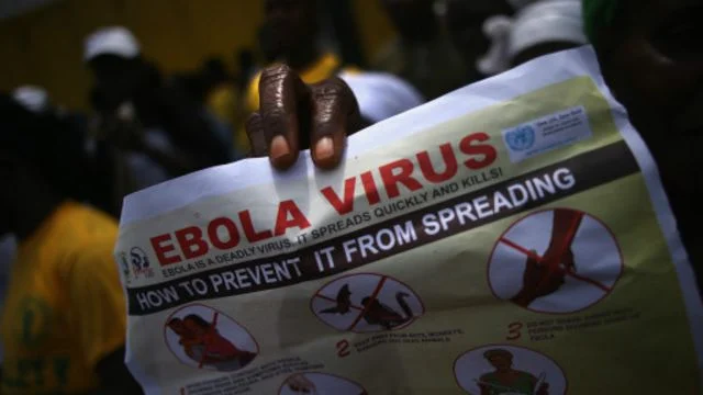 Wabah Ebola di Kongo dan Uganda: Apa yang Perlu Diketahui tentang Virus Bundibugyo?