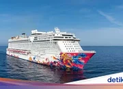 Wabah Hantavirus di Kapal Pesiar: Apakah Kami Siap Menghadapi Ancaman Ini?