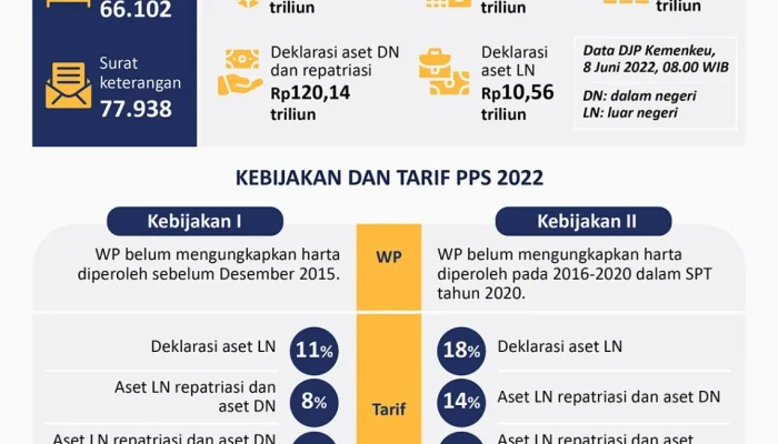 Wajib Pajak PPS Diperiksa Ulang, APINDO Imbau Tetap Tenang