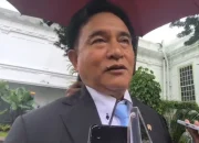 Yusril Ihza Mahendra: Pemerintah Tak Melarang Nobar Film ‘Pesta Babi’