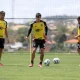 Atlético Paranaense dan Mirassol Siap Berlaga di Kompetisi Brasileirão
