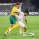 Australia dalam Sorotan: Dari Pemain Sepak Bola hingga Serangan Hiu