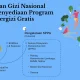 Badan Gizi Nasional: Evaluasi Insentif SPPG dan Anggaran Program MBG 2027