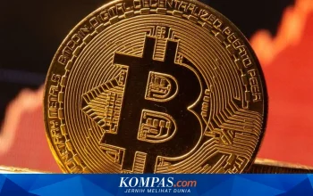 Bitcoin Terjun Bebas di Bawah $70.000, Membuat Investor Was-Was