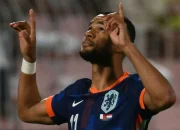 Cody Gakpo Tetap Main di Piala Dunia 2026 Meski Mengalami Duka