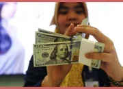 Dollar Digital: Cara Membeli dan Menyimpan Aset Berbasis Dolar dengan Mudah