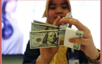 Dollar Digital: Cara Membeli dan Menyimpan Aset Berbasis Dolar dengan Mudah