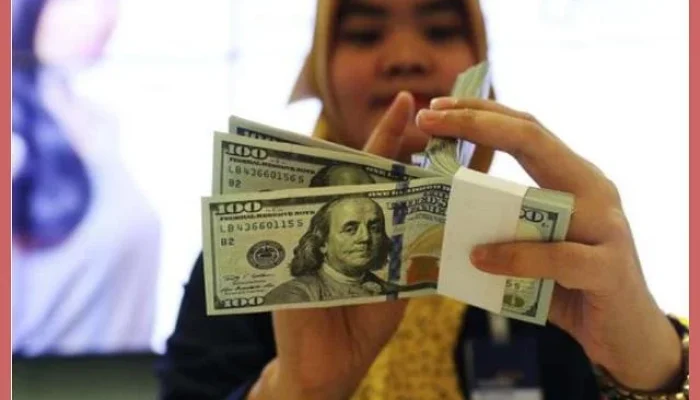 Dollar Digital: Cara Membeli dan Menyimpan Aset Berbasis Dolar dengan Mudah