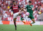 Flamengo vs Palmeiras: Persaingan Sengit di Lapangan Sepak Bola