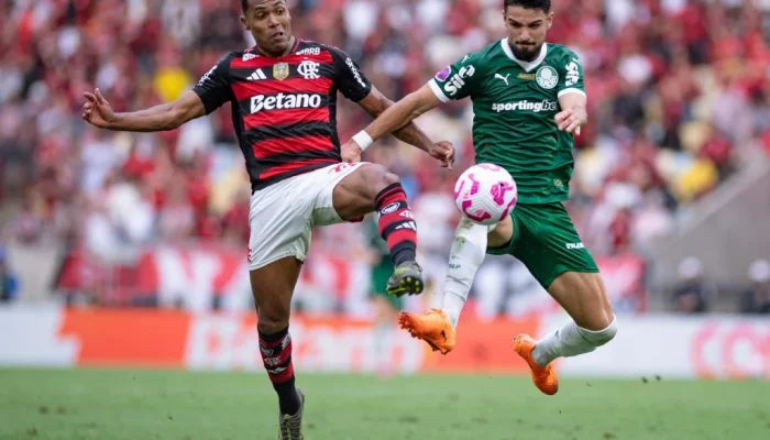 Flamengo vs Palmeiras: Persaingan Sengit di Lapangan Sepak Bola