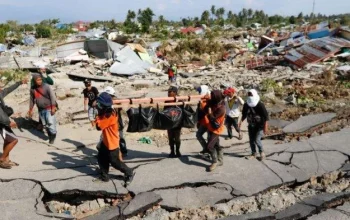 Gempa Bumi Magnitudo 6,7 di Sulawesi Tengah: 1 Orang Meninggal dan Ratusan Bangunan Rusak