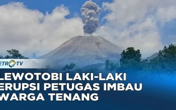 Gempa dan Erupsi Gunung Lewotobi Laki-Laki, Warga Diminta Waspada