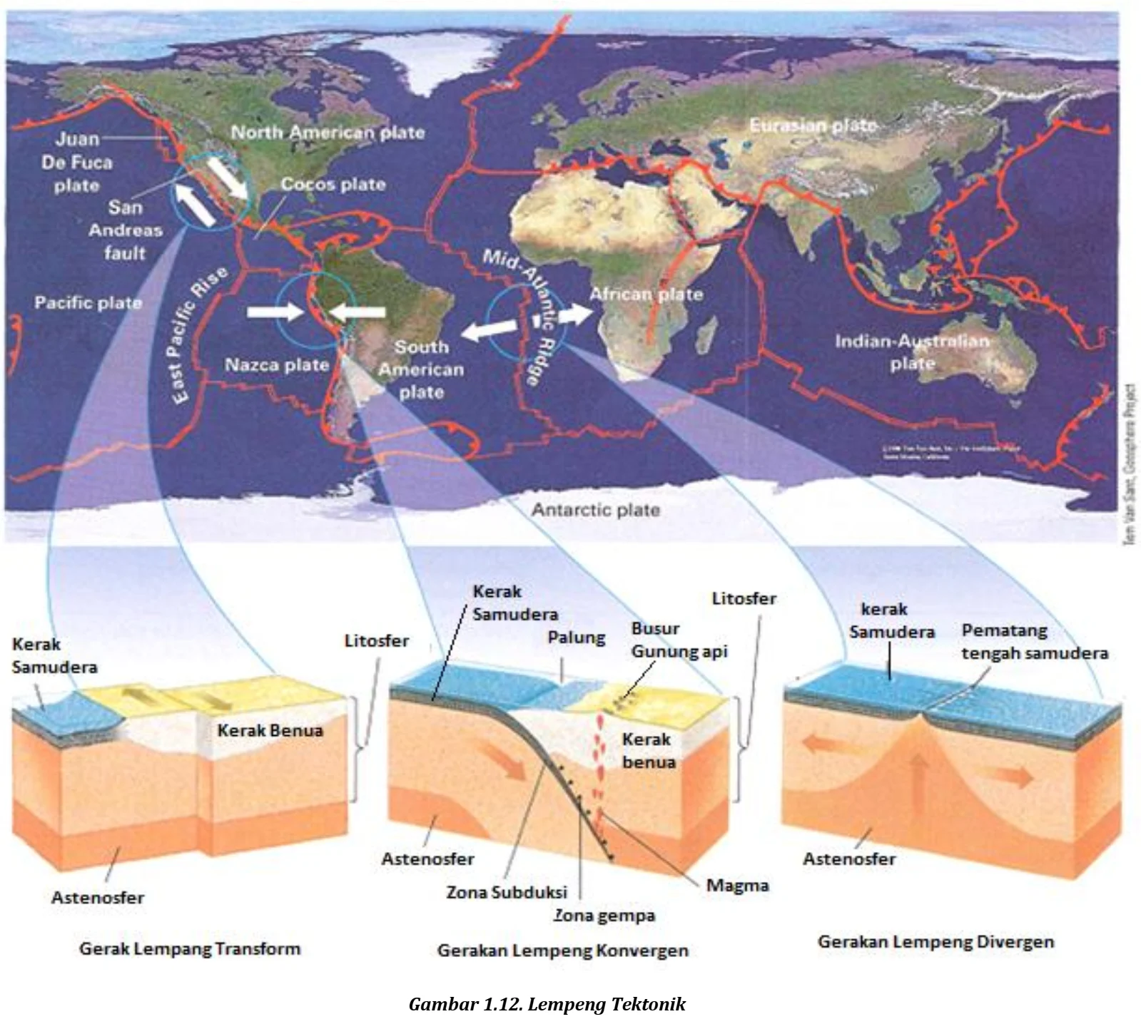Gempa Melanda Amerika Latin: Wilayah Pesisir Barat Dikepung 5 Lempeng Tektonik Aktif