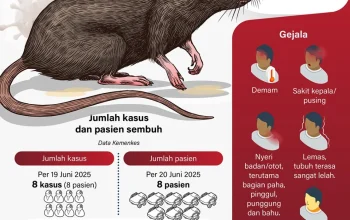 Hantavirus dan Ebola: Ancaman Global yang Meningkat