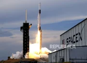 IPO dan Strategi Investasi: Menganalisis Kasus Rocket Lab dan SpaceX