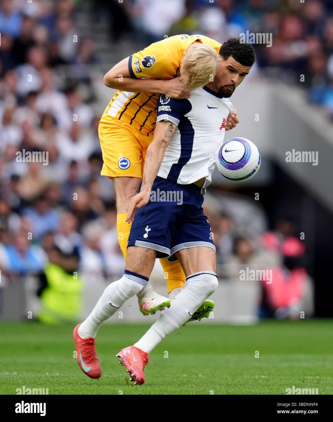 Jan Paul van Hecke, Pemain Belakang yang Diburu Tottenham Hotspur