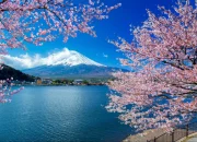 Jepang: Dari Keindahan Alam hingga Kemajuan Teknologi
