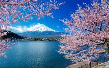 Jepang: Dari Keindahan Alam hingga Kemajuan Teknologi