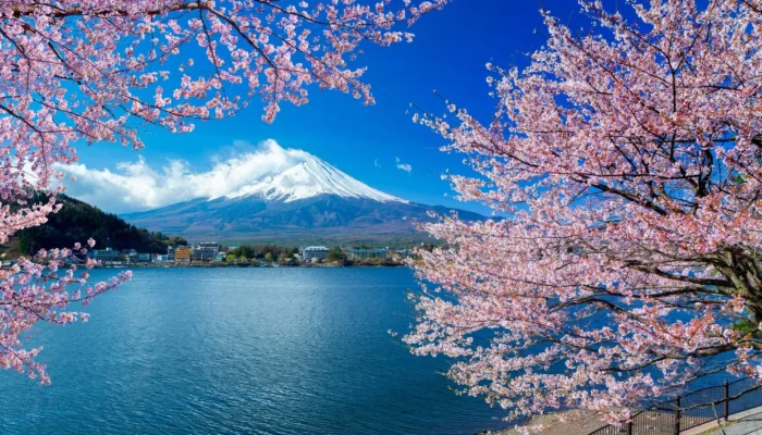 Jepang: Dari Keindahan Alam hingga Kemajuan Teknologi